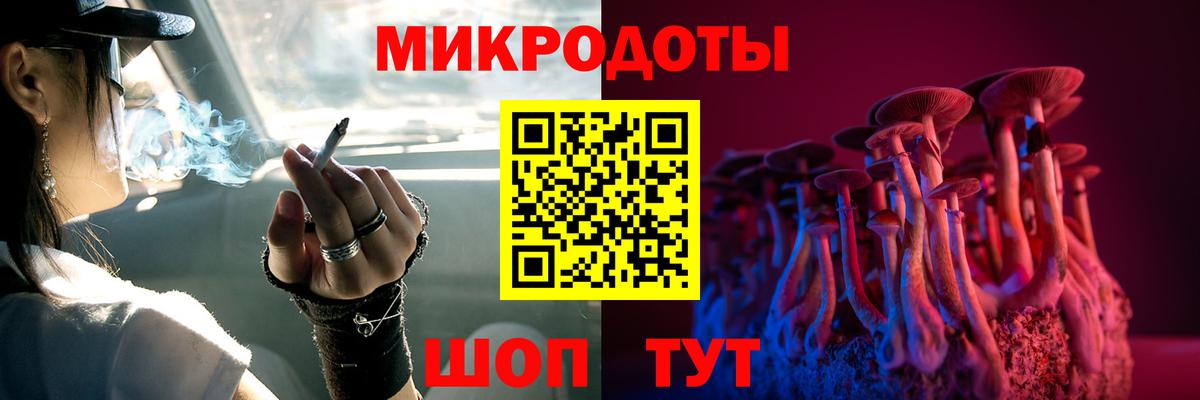 Псилоцибиновые грибы Psilocybe Серпухов